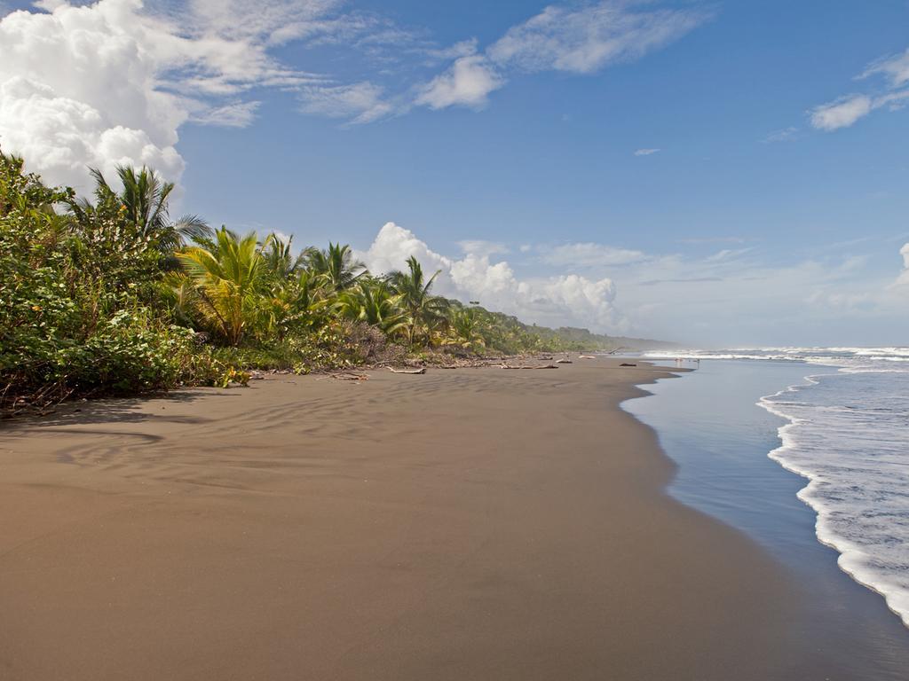 كويتا Hotel Caribbean Coconut المظهر الخارجي الصورة