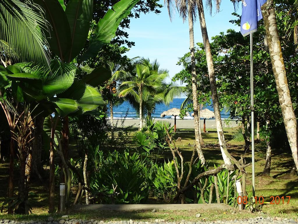 كويتا Hotel Caribbean Coconut المظهر الخارجي الصورة