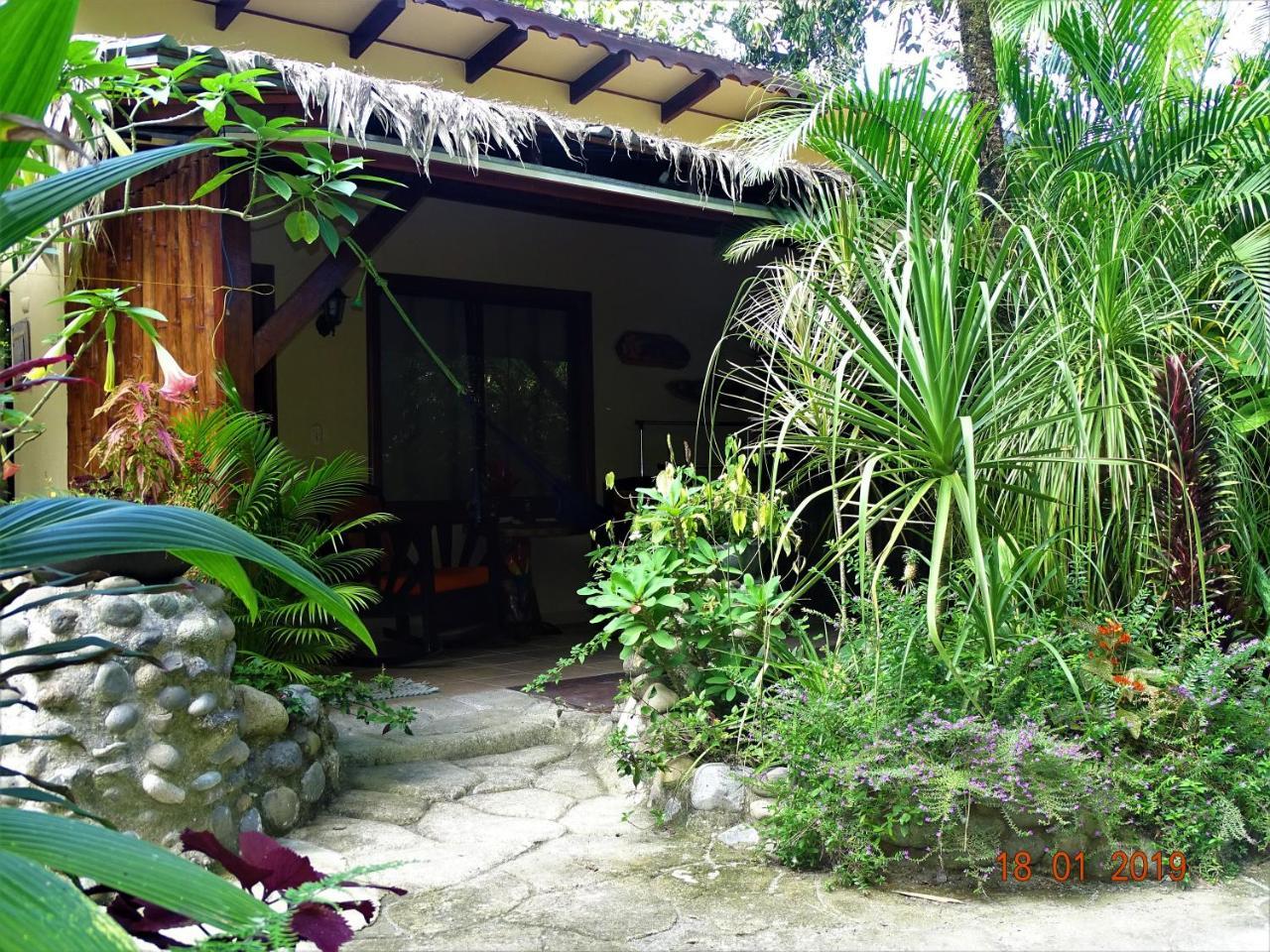 كويتا Hotel Caribbean Coconut المظهر الخارجي الصورة