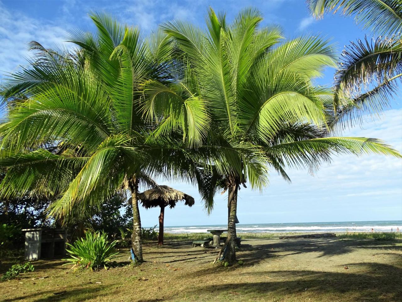كويتا Hotel Caribbean Coconut المظهر الخارجي الصورة