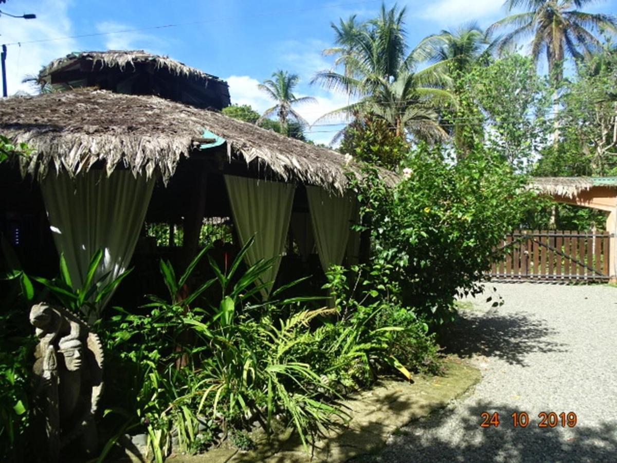 كويتا Hotel Caribbean Coconut المظهر الخارجي الصورة